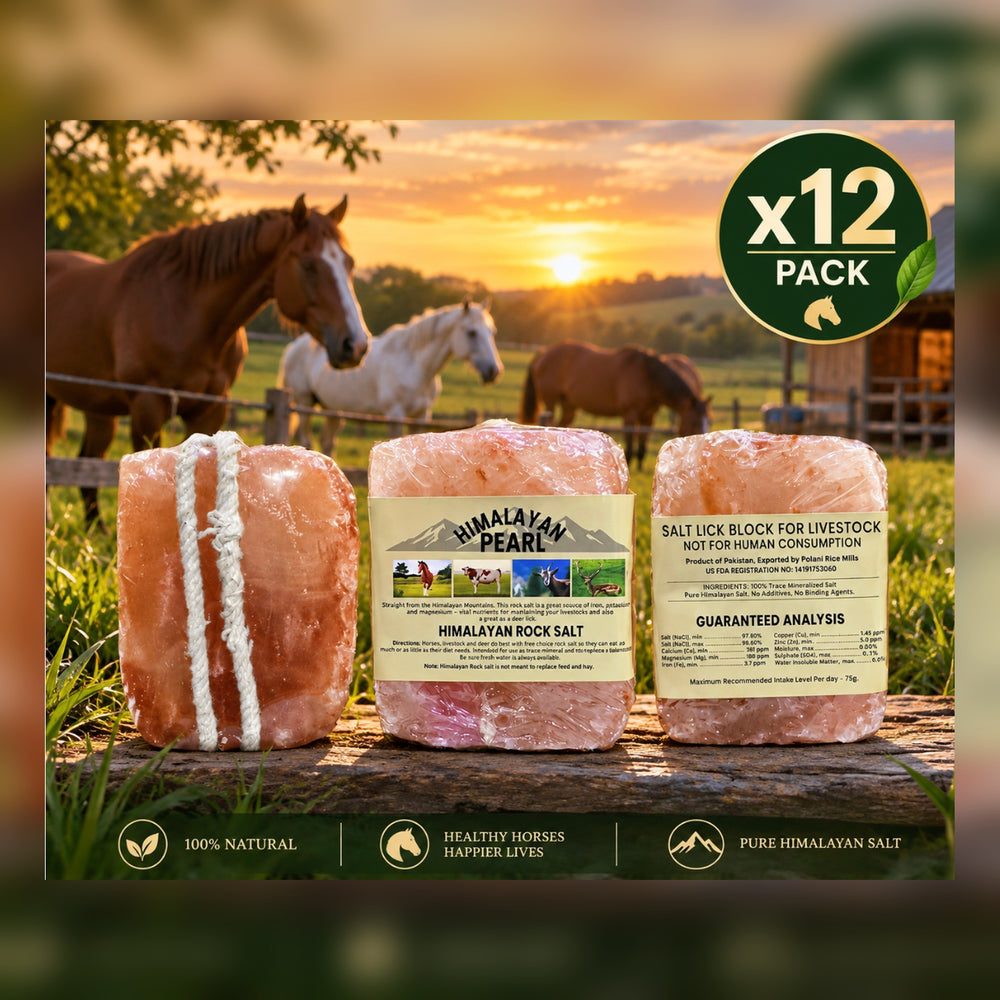 Salt Block for Horses - Pack of 12