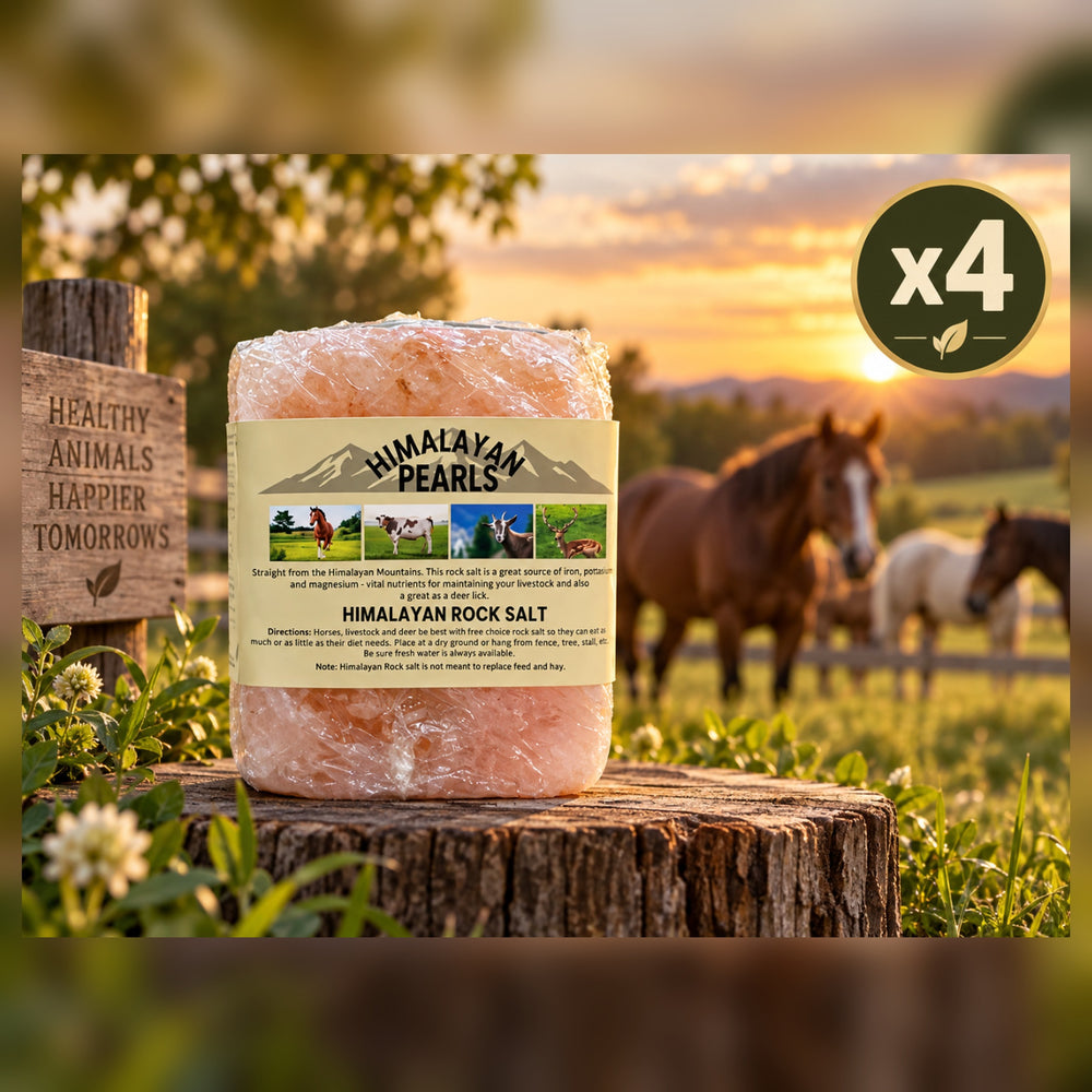 Himalayan Salt for Horses - Pack of 4